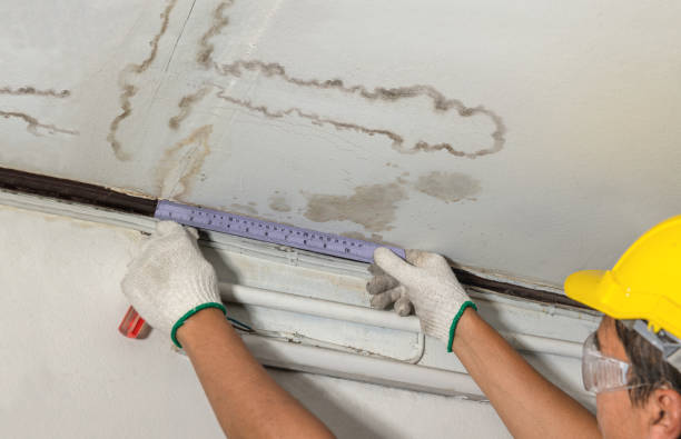 Reliable Water Damage contractor in Georgetown, CT by Water Damage Irwin